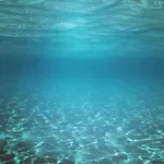 公寓 帕普利亚斯公寓