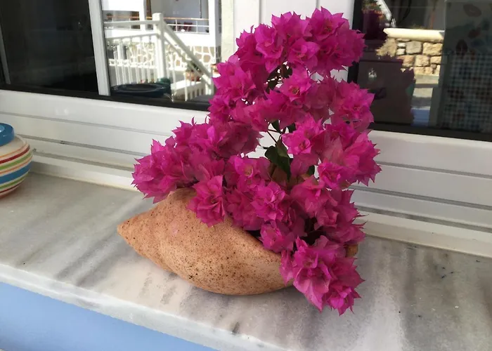 Appartamento Papoulias *